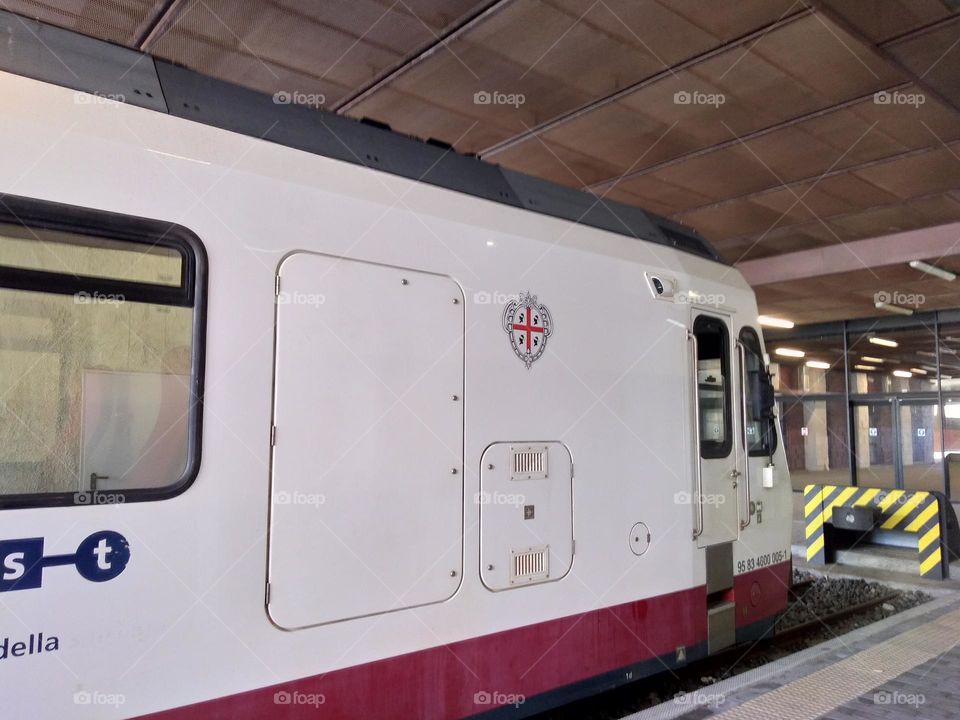 Editors' Choice - Photo of the Week