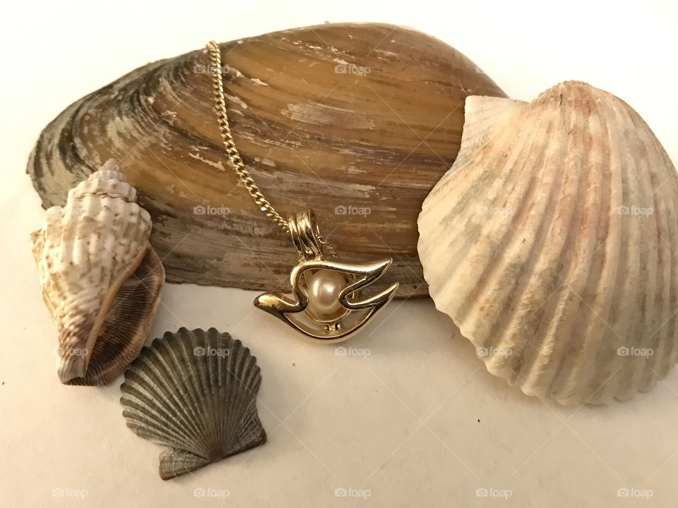 Pearl necklace and shells
