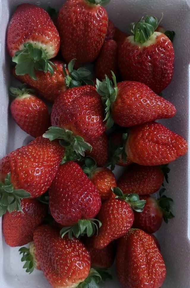 Strawberry fruit