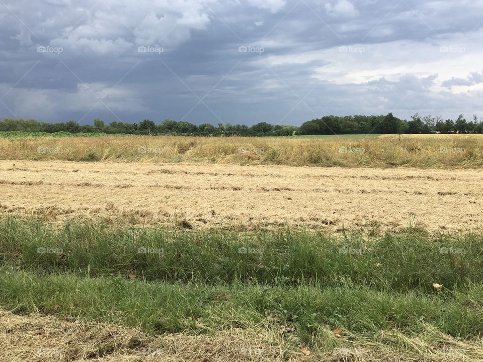 Stormy weather while haymaking time