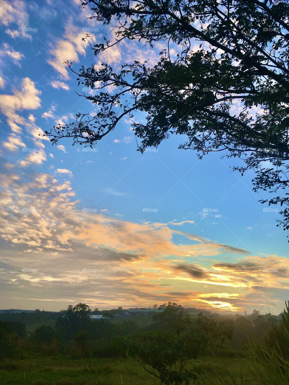 Very beautiful dawn in the city of Jundiaí, interior of Brazil. Long live the nature that inspires us! / Amanhecer muito bonito na cidade de Jundiaí, interior do Brasil. Viva a natureza que nos inspira!