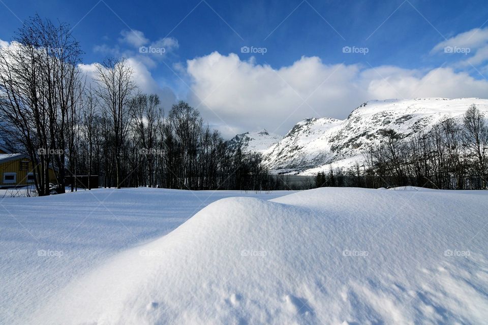 White winter landscapes