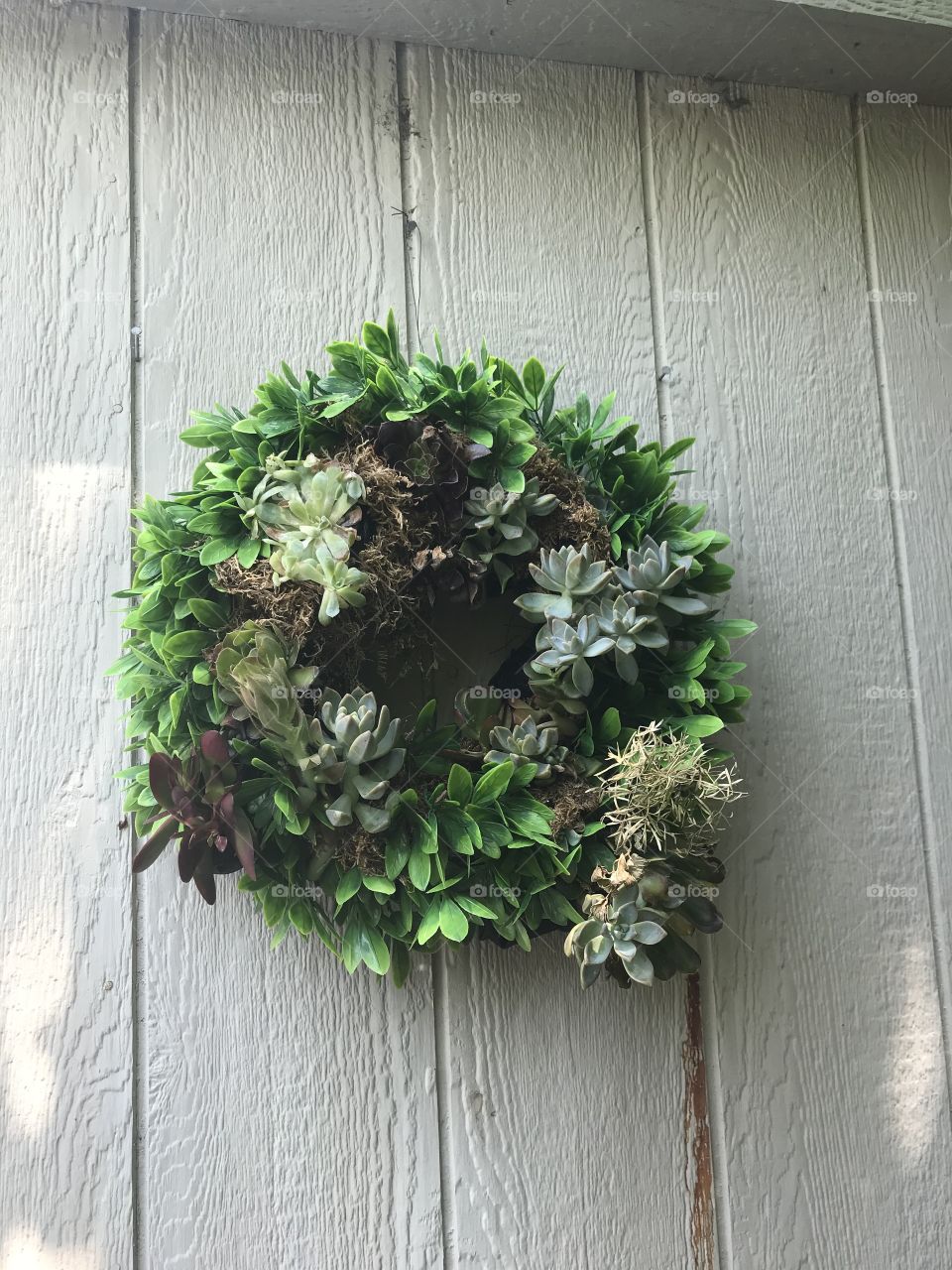 Succulent wreath 