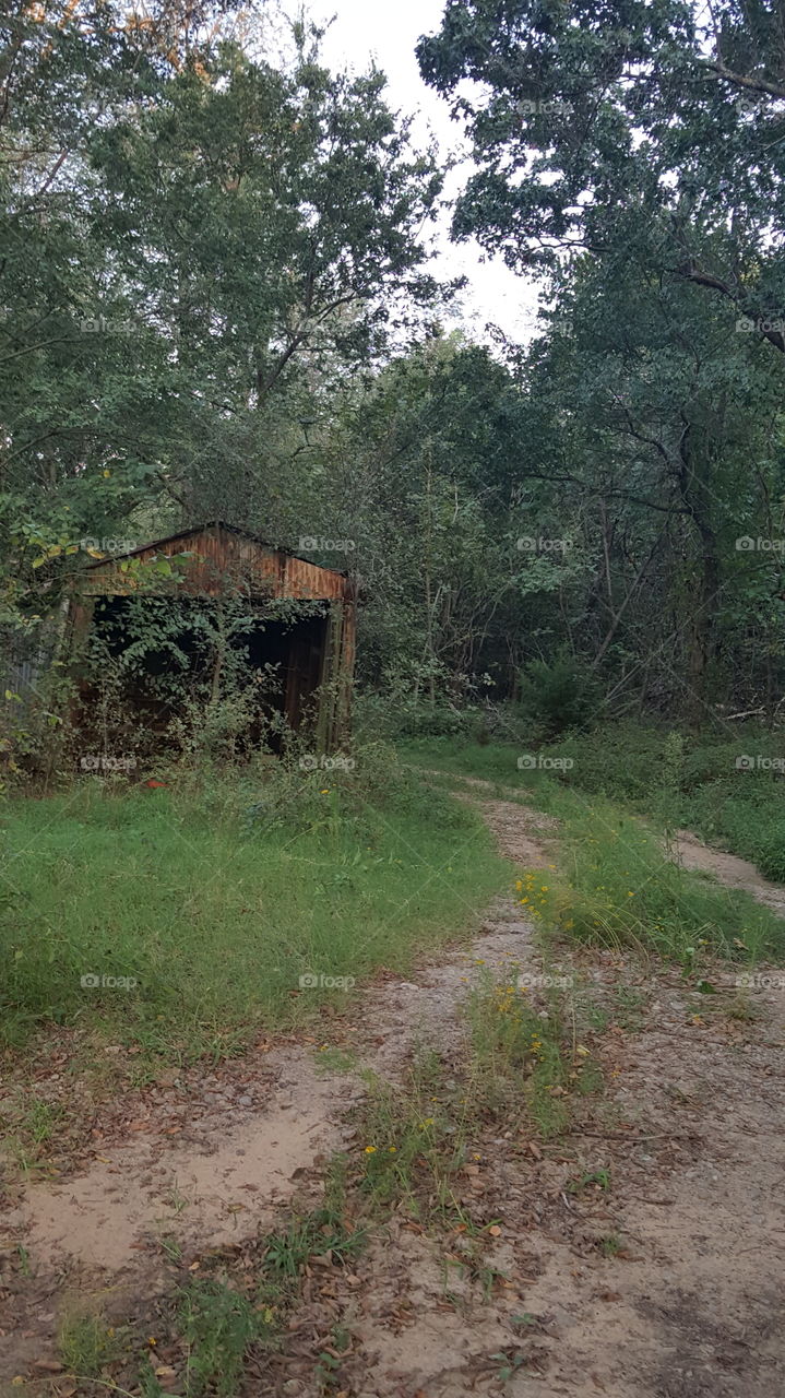 This little old barn is hidden and long forgotten...