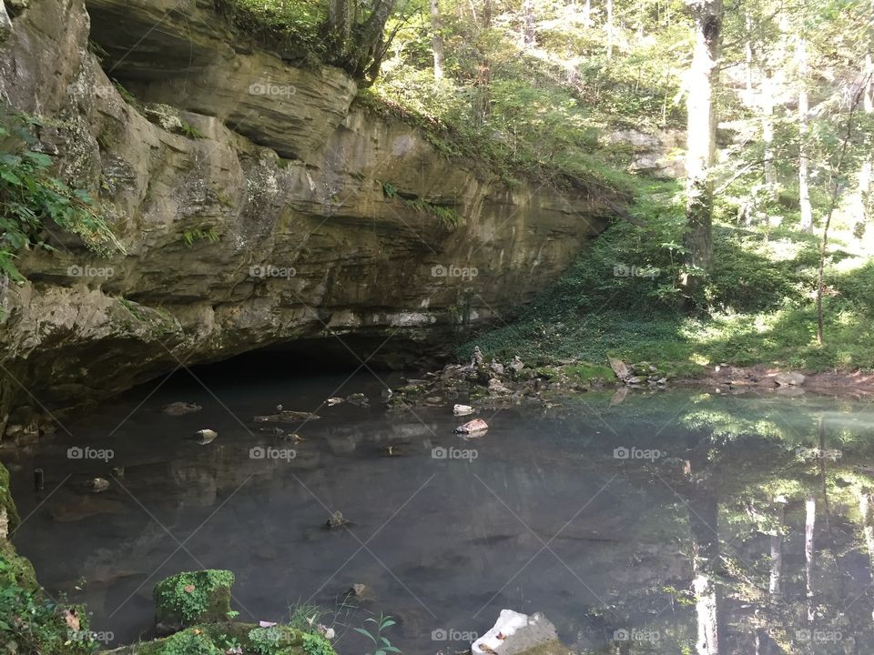 One side of a karst window in Kentucky. The spring flowing out from a cavern on one side and into a cavern on the other side.