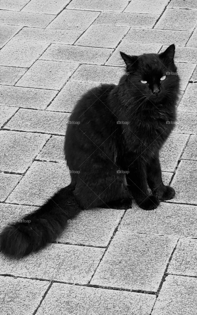 Taking moment to relax and unwind!