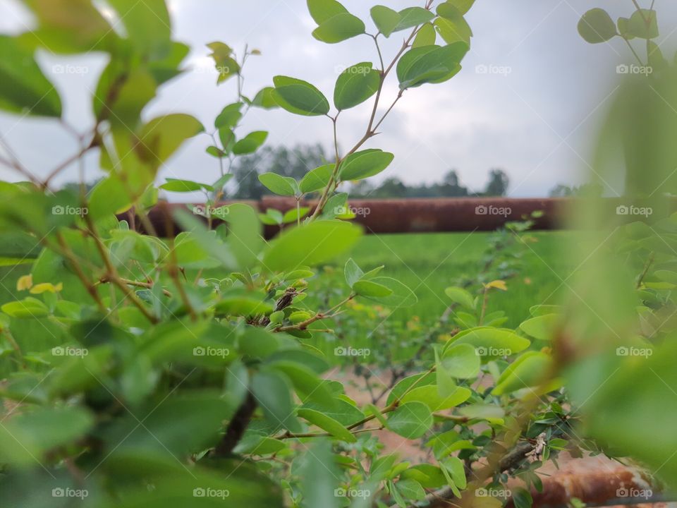 how much do you like this picture?