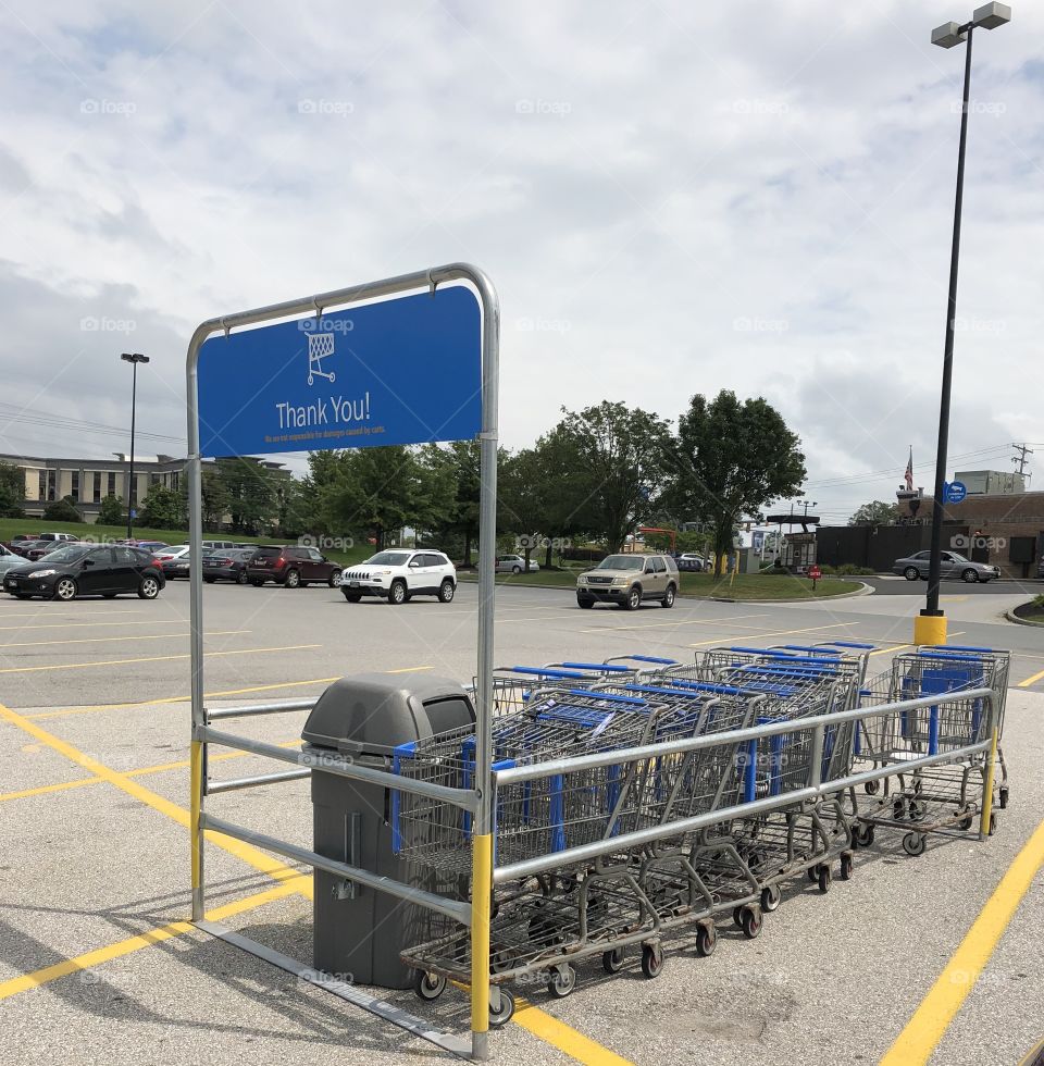 Shopping carts