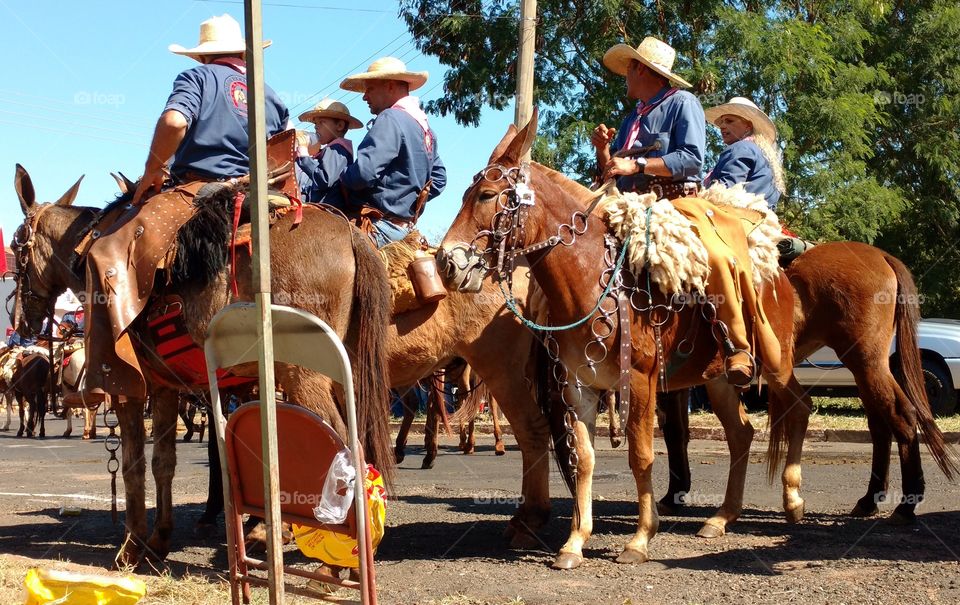 Evento agropecuario tradicional comemorativo de aniversario de cidade brasileira. Cowboys e Cowgirls. Cavalos, touros e cavaleiros. Confraternização, cavalgada nas ruas.