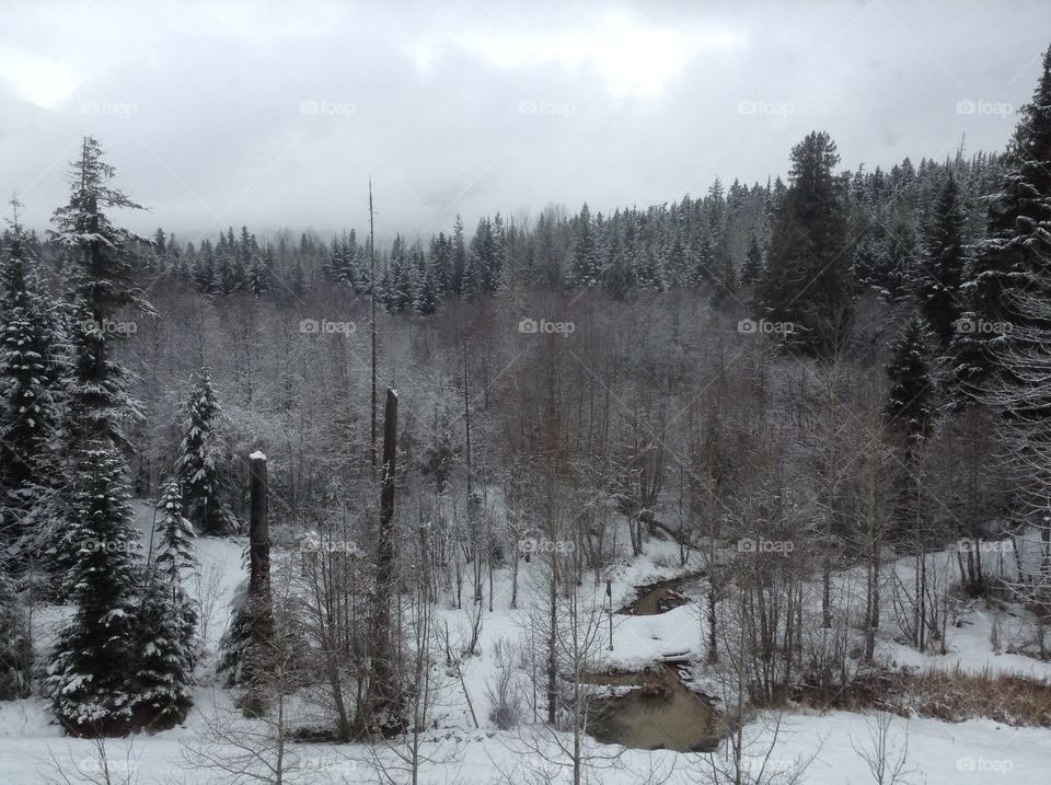 Winter in Canada 