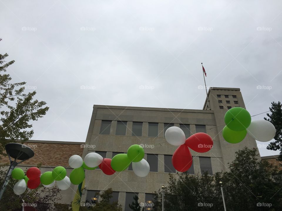 Flag, Sky, Celebration, Tree, Building