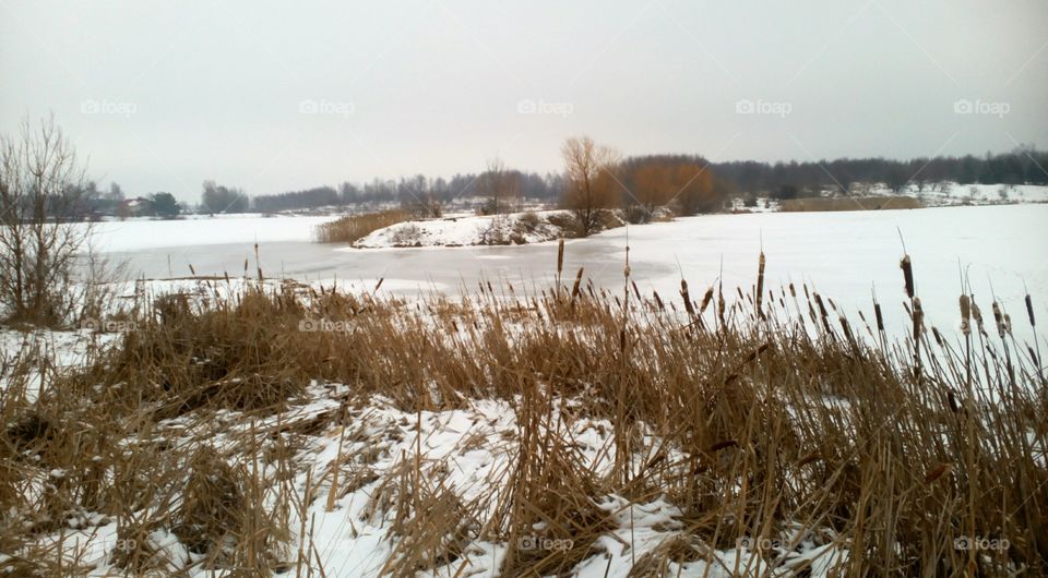 Winter, Landscape, Water, Snow, Nature