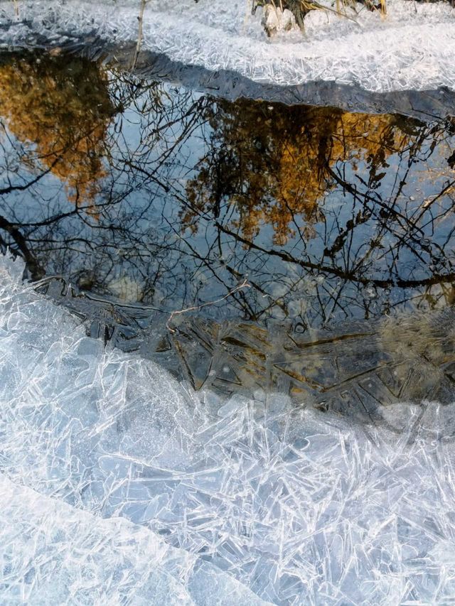 ice
