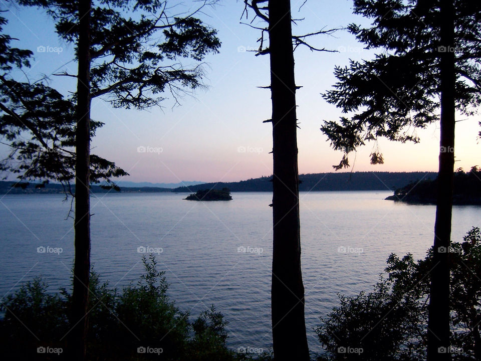 beach ocean sunset trees by kenglund