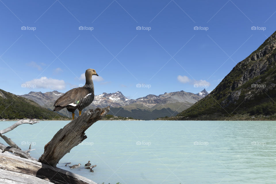 Laguna Esmeralda in Ushuaia Patagonia Argentina.