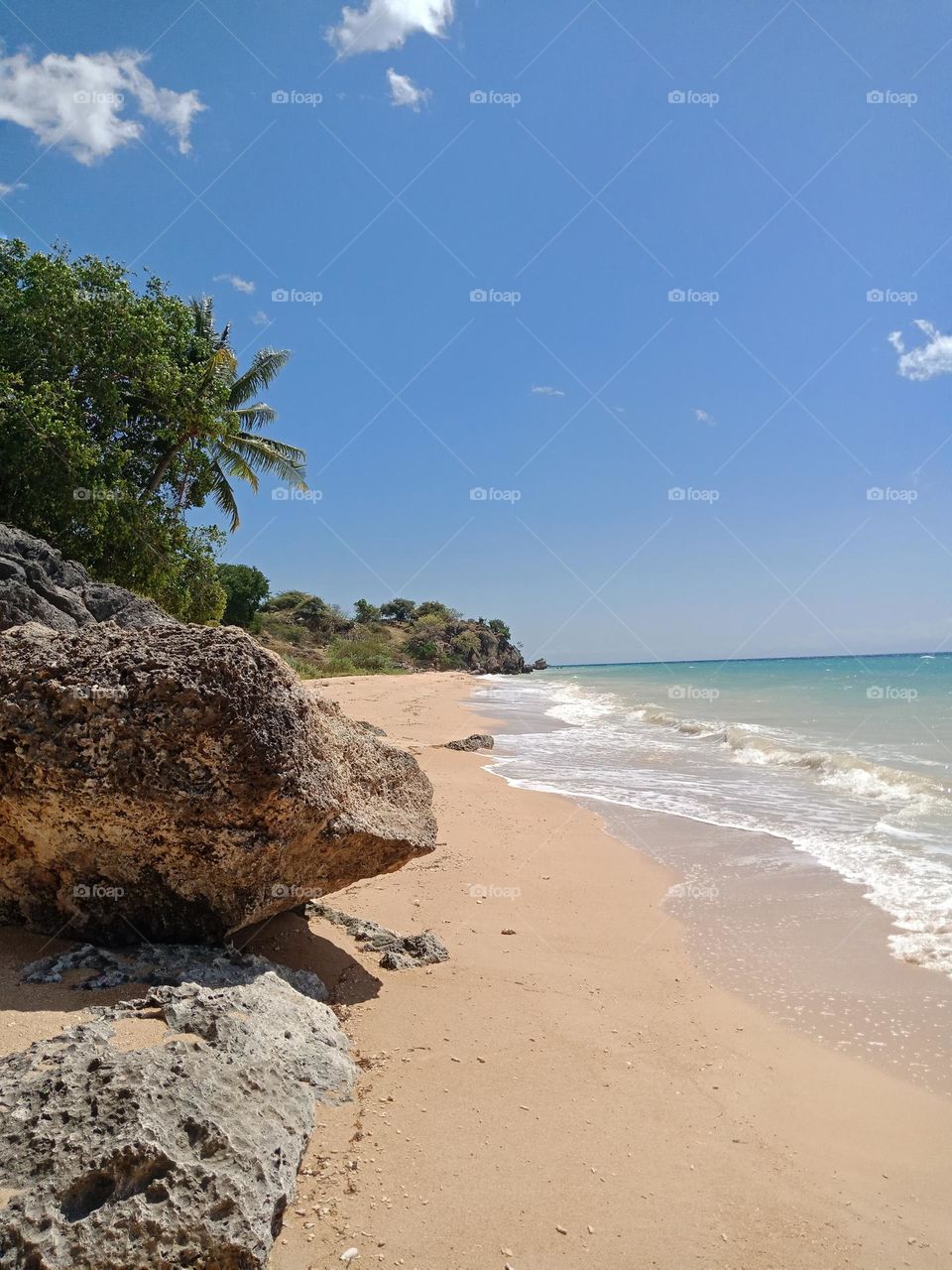 A tropical hidden beach on a sunny day, with rocks and trees