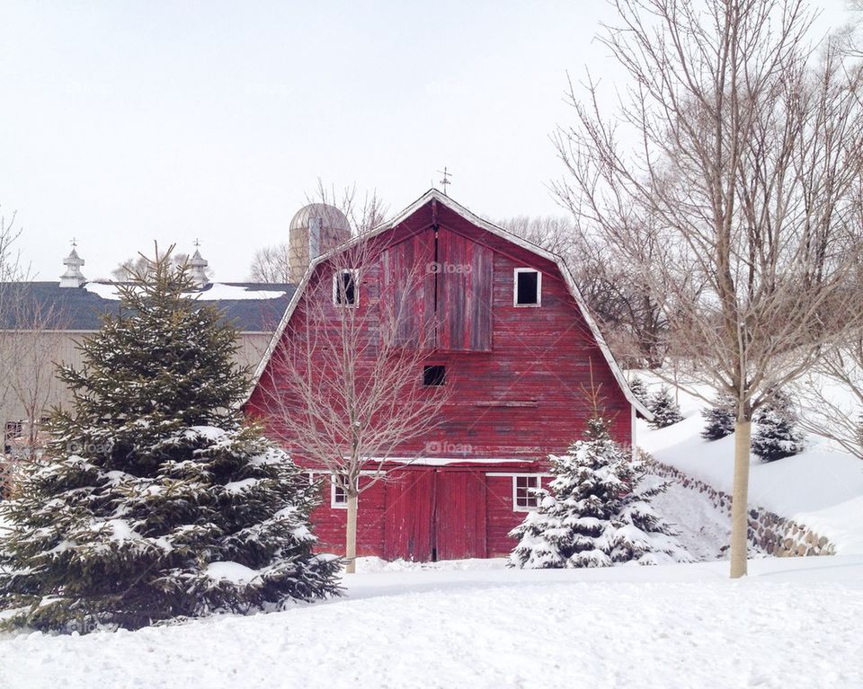 Red Barn