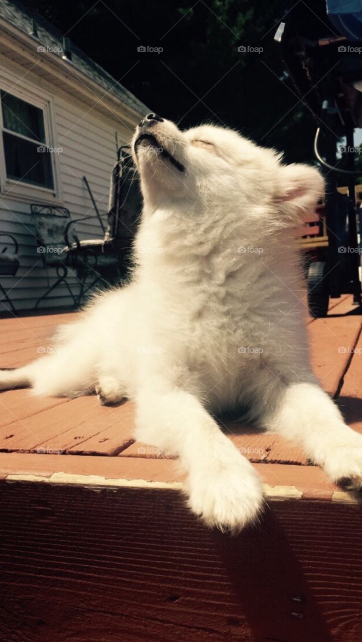 soaking up the sun 