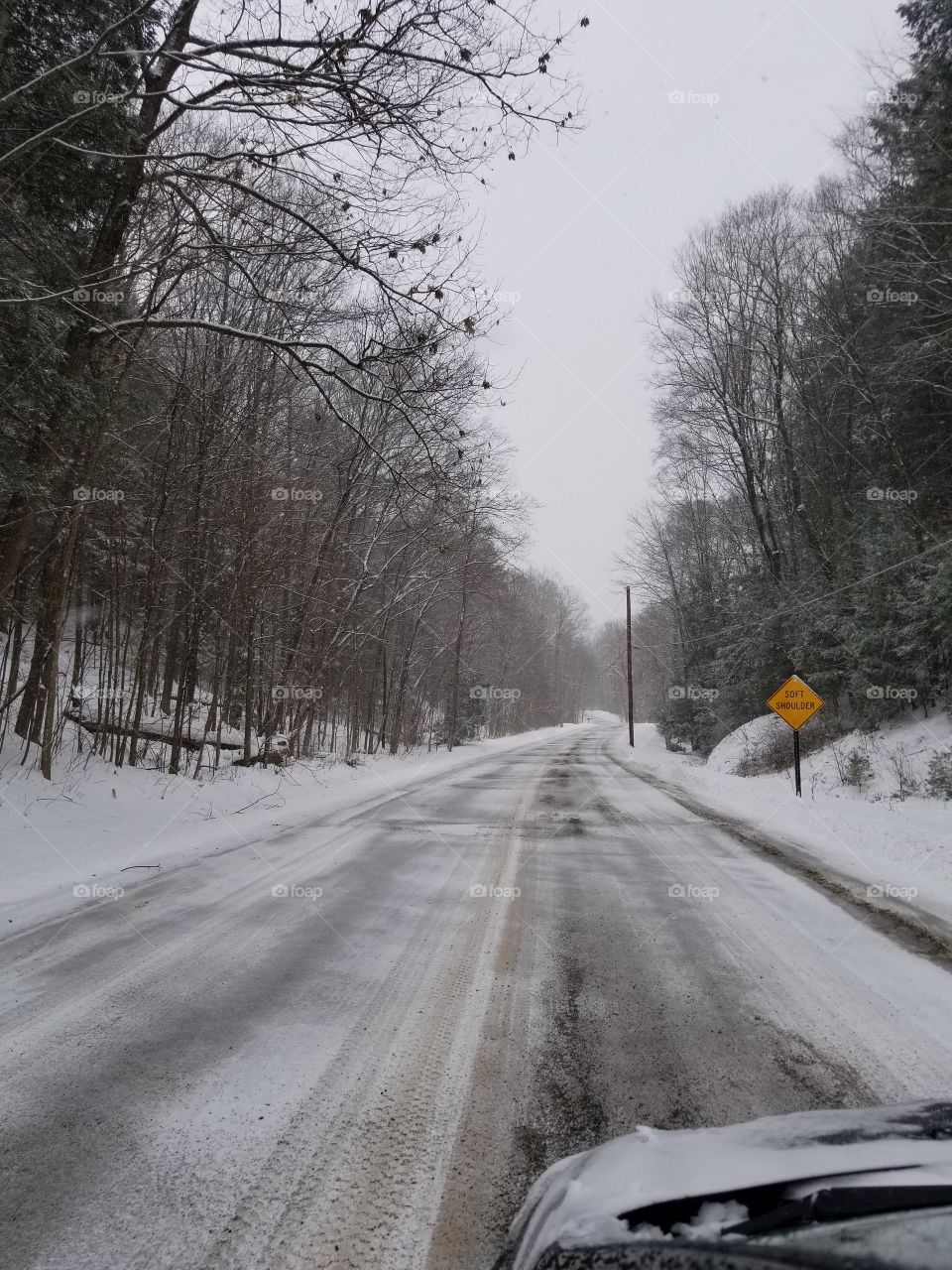 Snow, Winter, Road, Cold, Tree