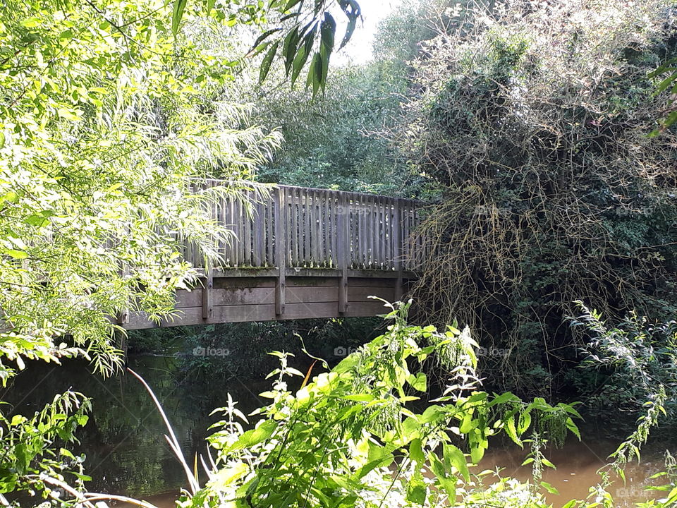 Bridge Over A River