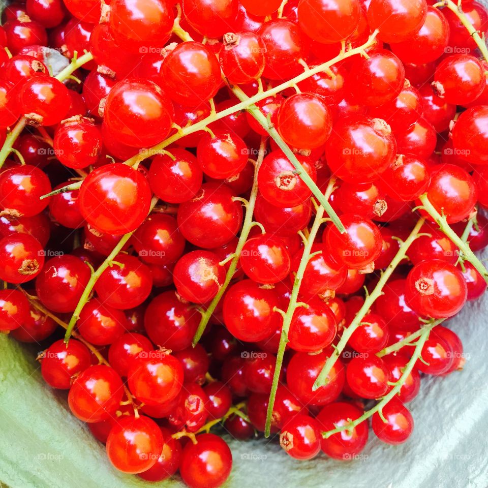 Redberries