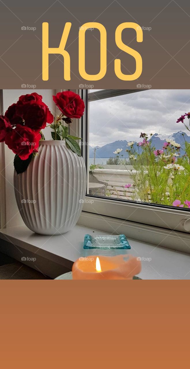 Windows view in Norway