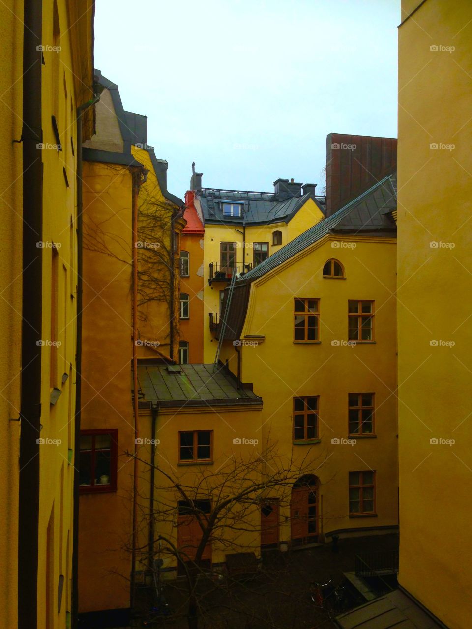 Yellow . Yellow houses in Stockholm!