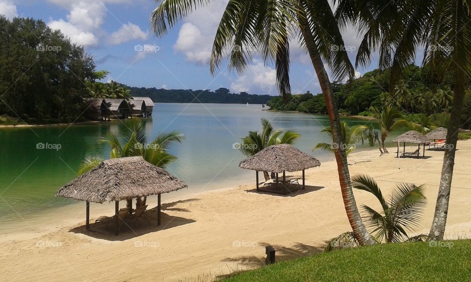 Pacific paradise. Vanuatu beach