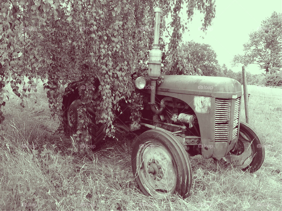 Vintage Ferguson tractor
