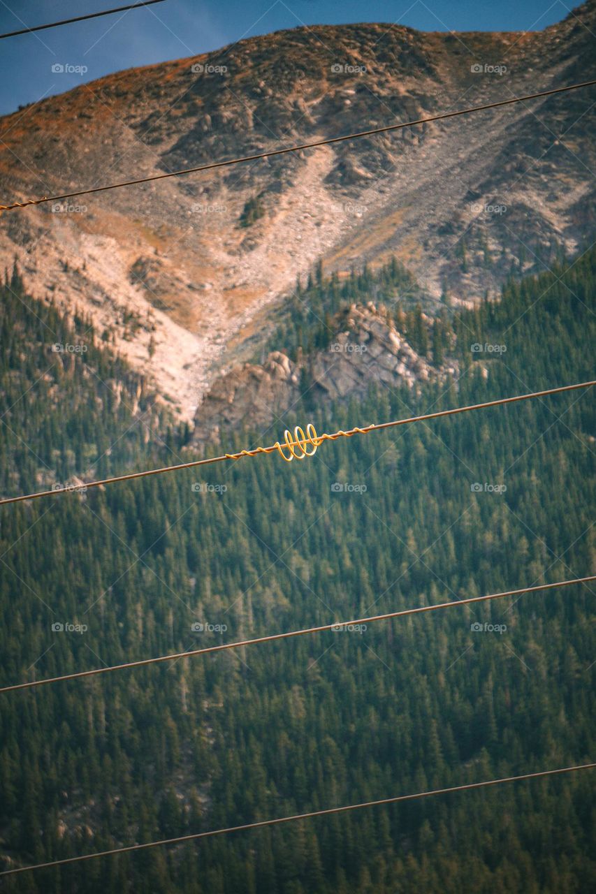 Wire in mountain scape.