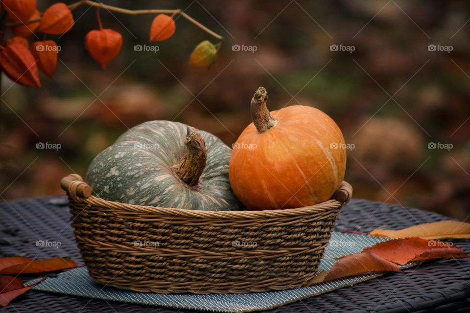 autumn still life with pumpkins in a basket