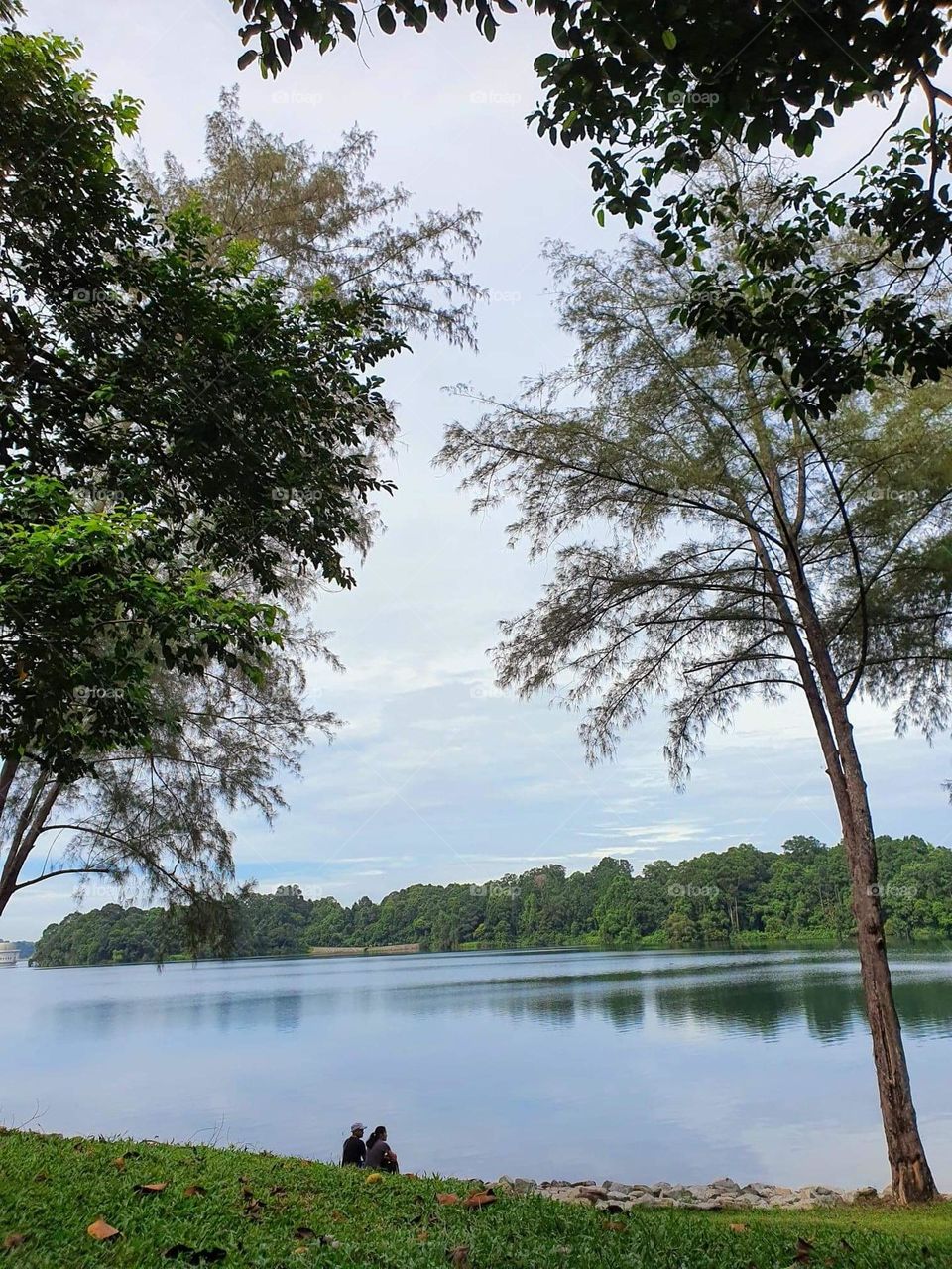 In our own quiet world