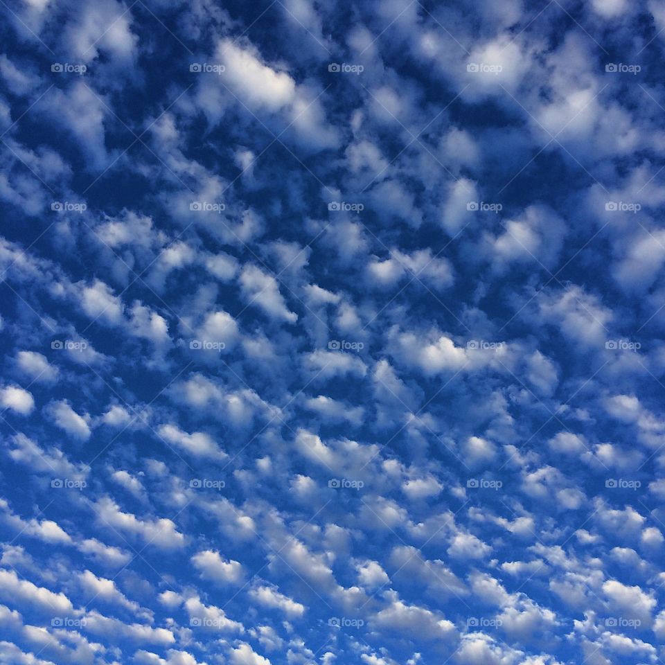 Blue fluffy cloudy sky 