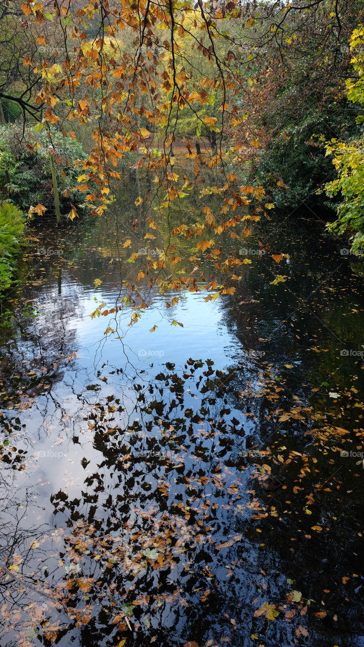 In a park in Antwerp
