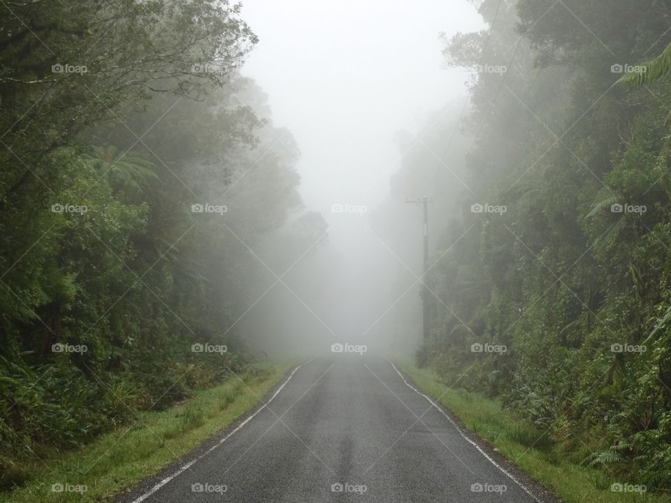 Foggy Morning road