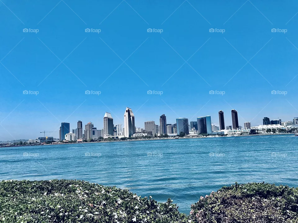 City view 