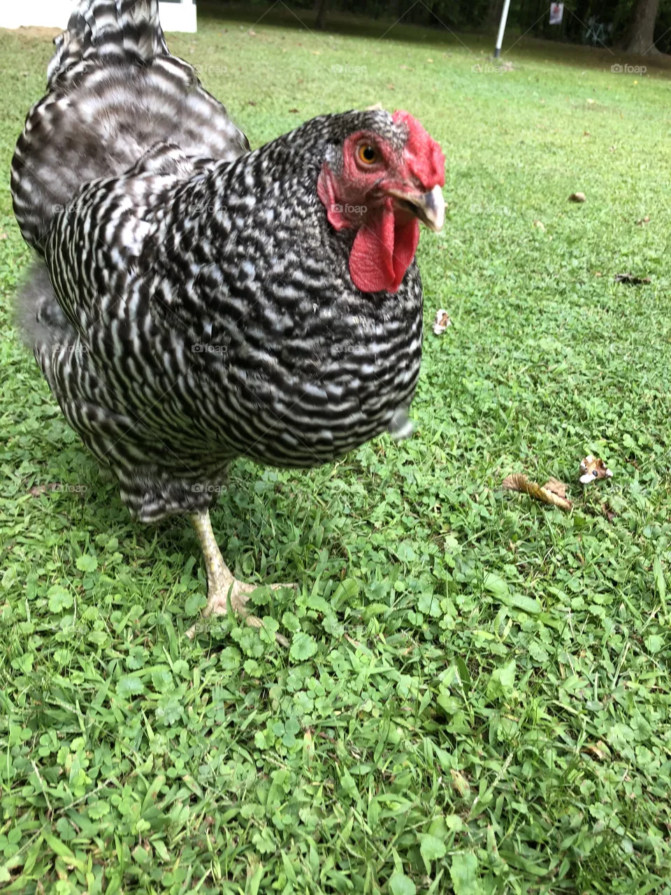Ruth is on a mission 
