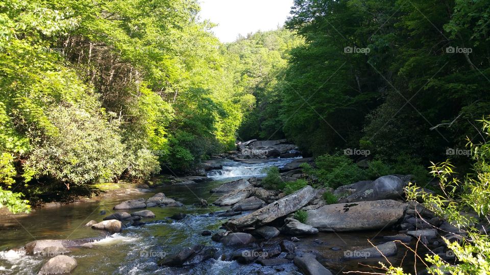 The River of North Carolina