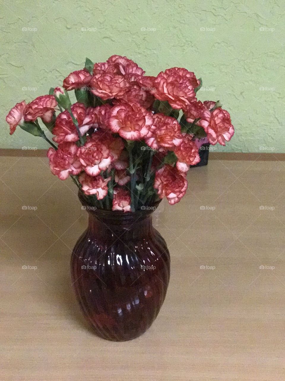 carnations