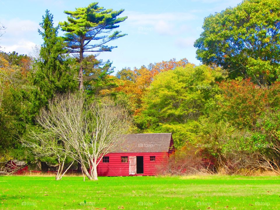 Barns