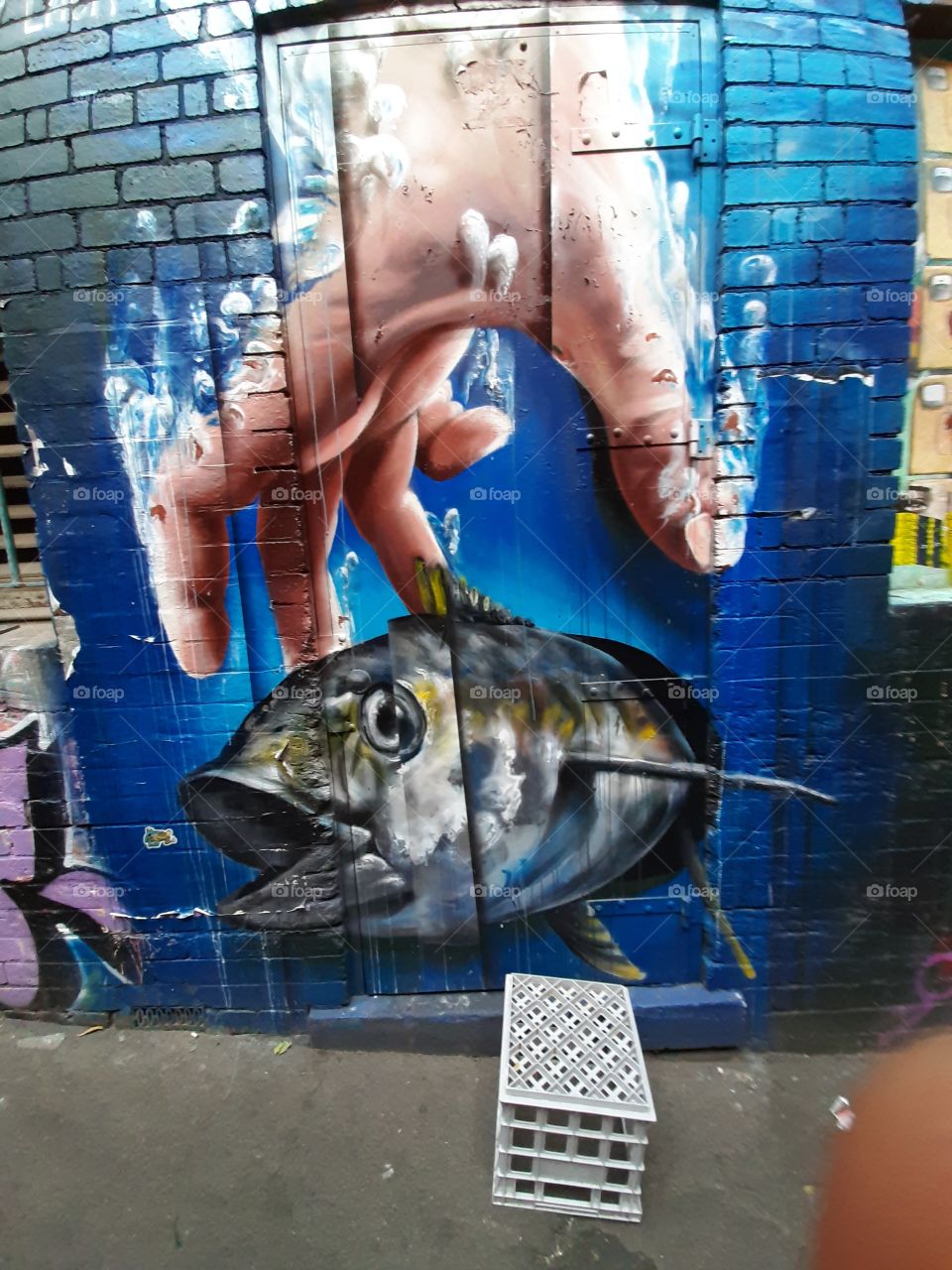 fish tag