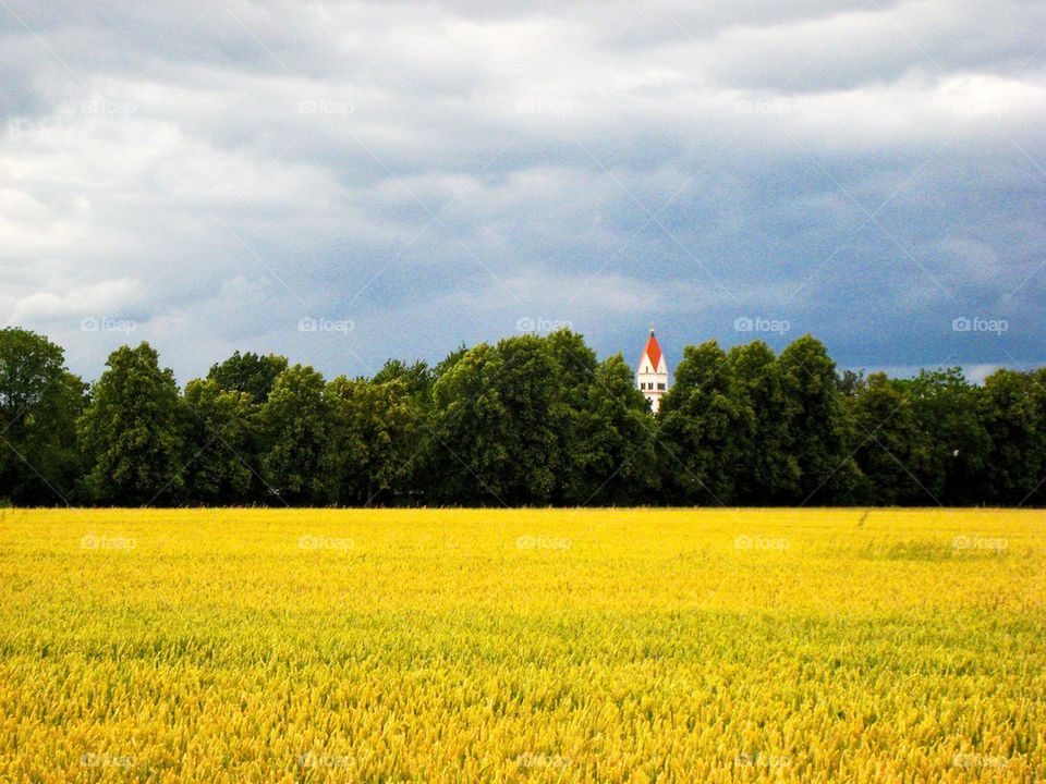 View of field