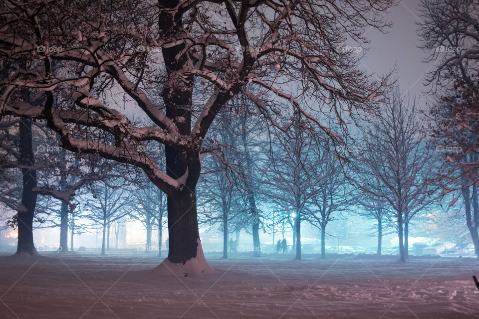 A foggy winter morning in Munich