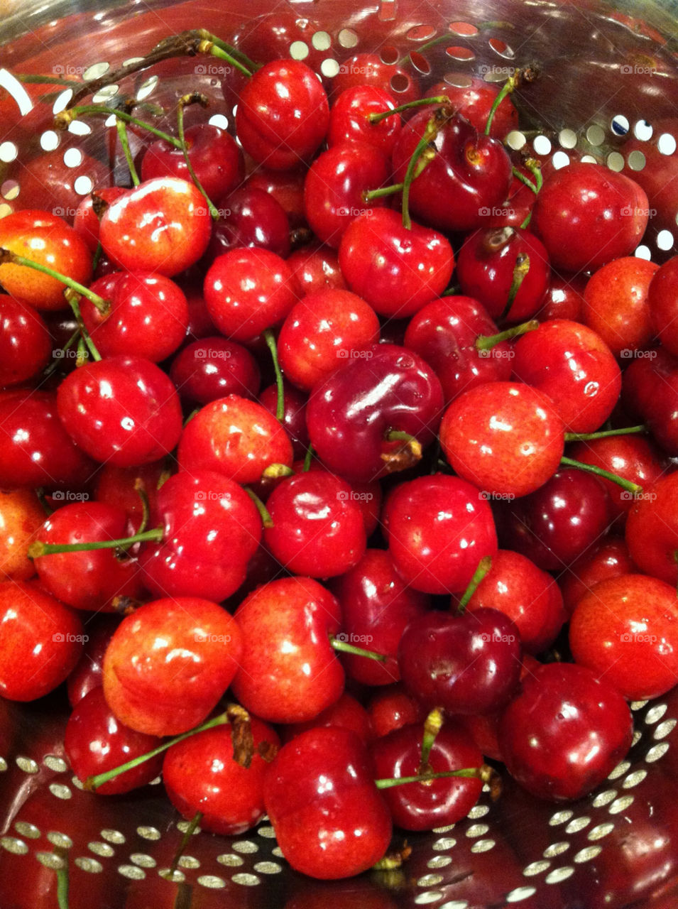 red food cherry bowl by evelia