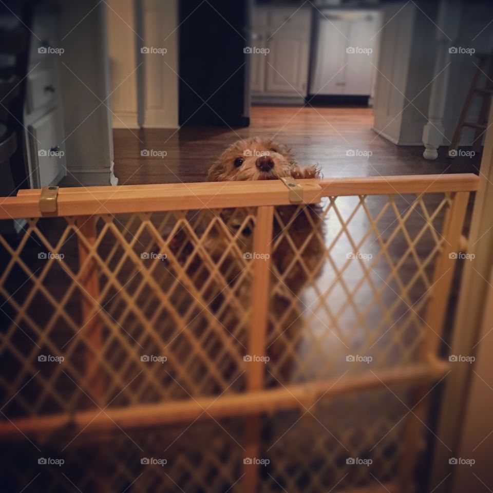 Behind bars