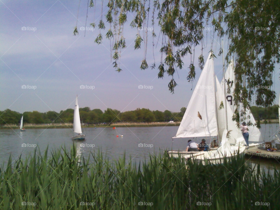 sunny lake bright green grass by michaella