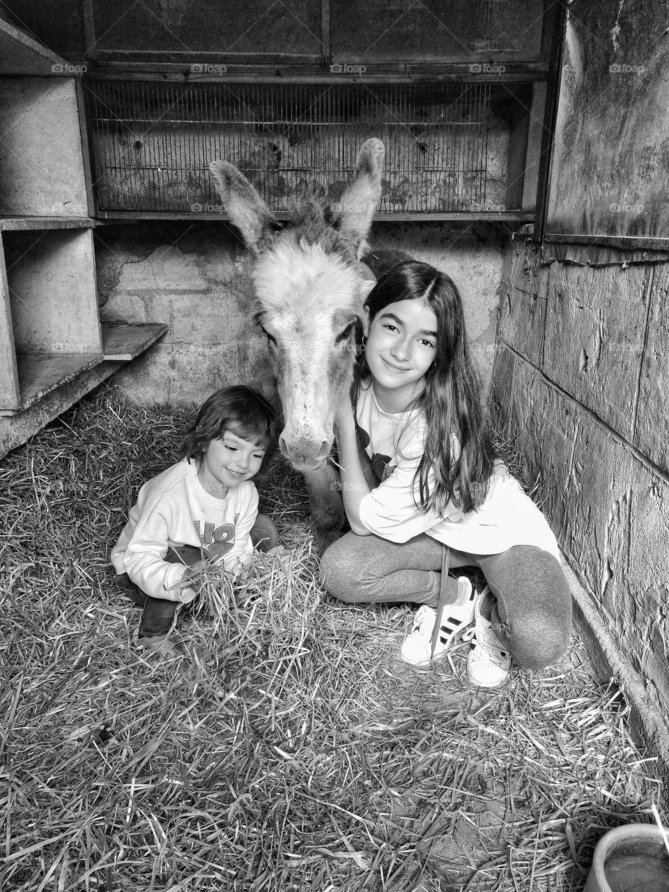 My children petting and caring for our beloved baby donkey. Pets are extremely grateful, they are loved so much that they become one of the family.