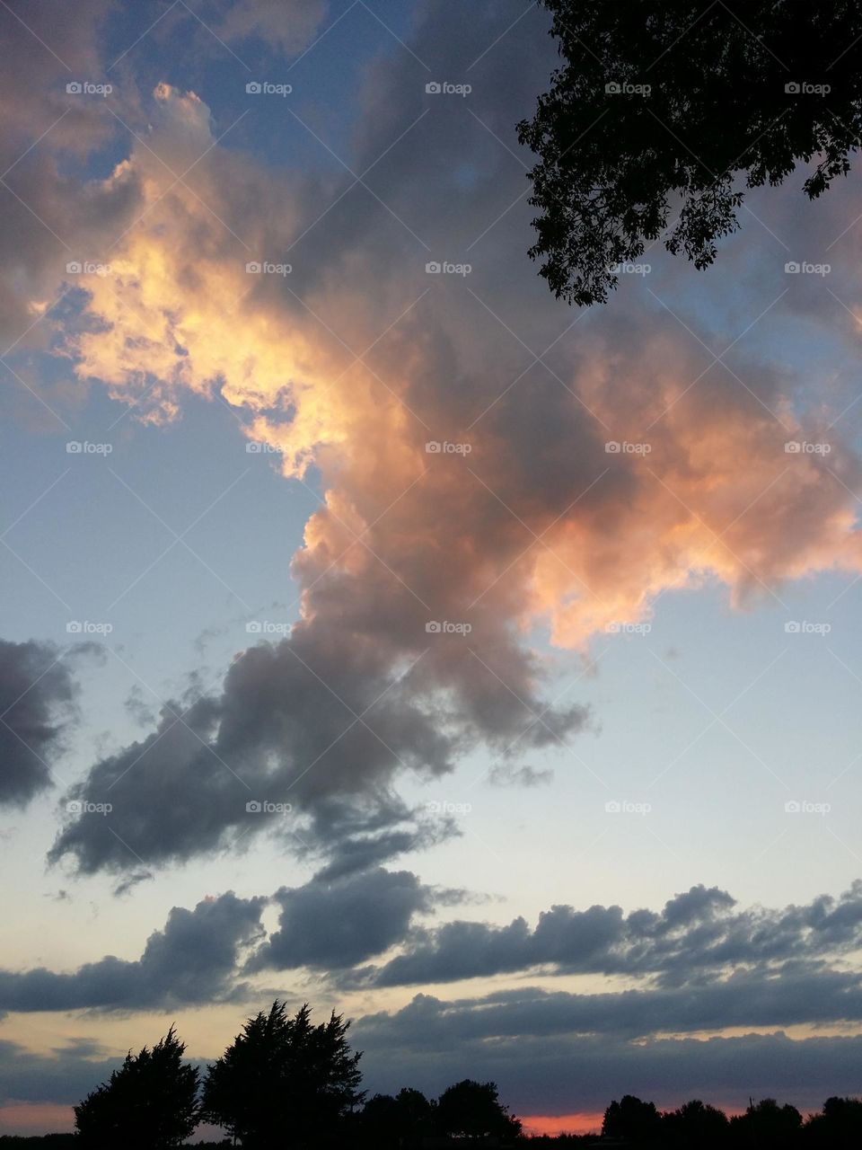 Beautiful Pink Cotton Candy Cloud at Sunset