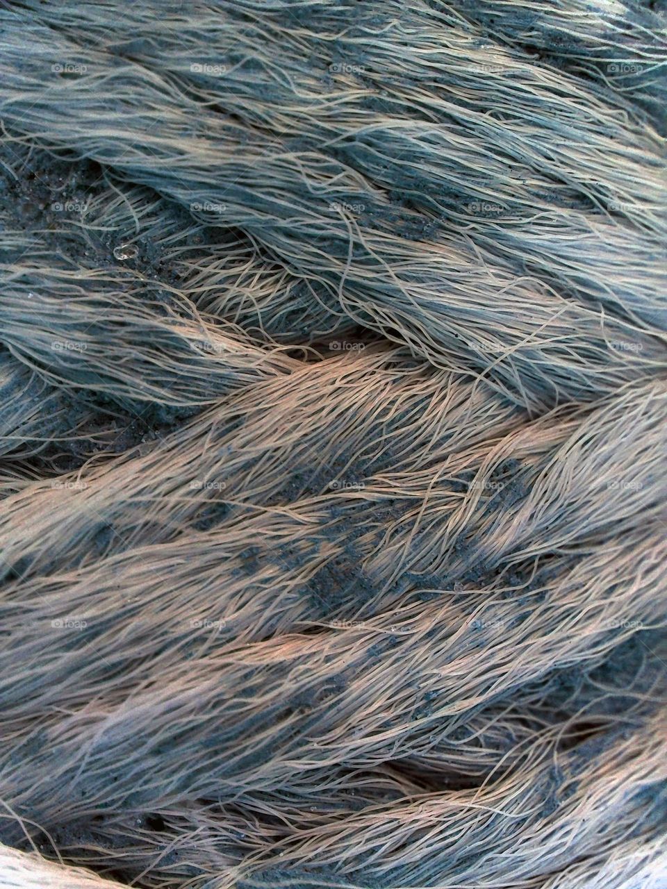 macro photo texture rope