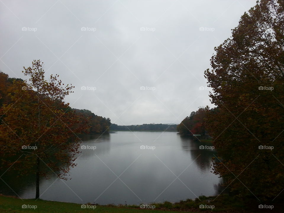 Lake view in the fall